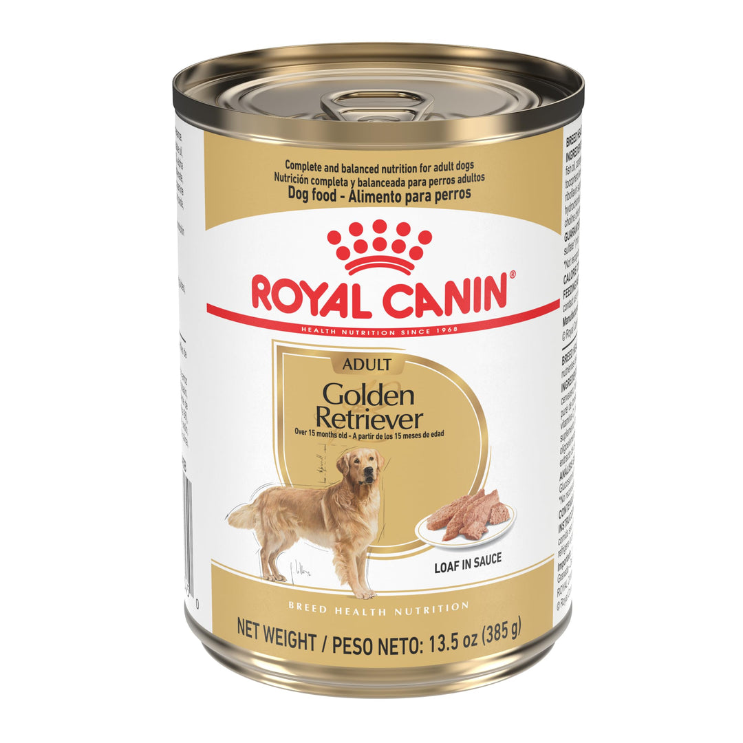 ROYAL CANIN Golden Retriever Adult Wet Dog Food, 13.5 oz, 12-Pack