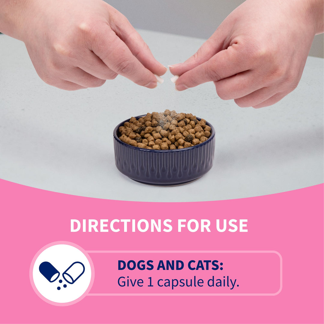 Nutramax Proviable Probiotics for Dogs &amp; Cats, Sprinkle Capsules, 30ct