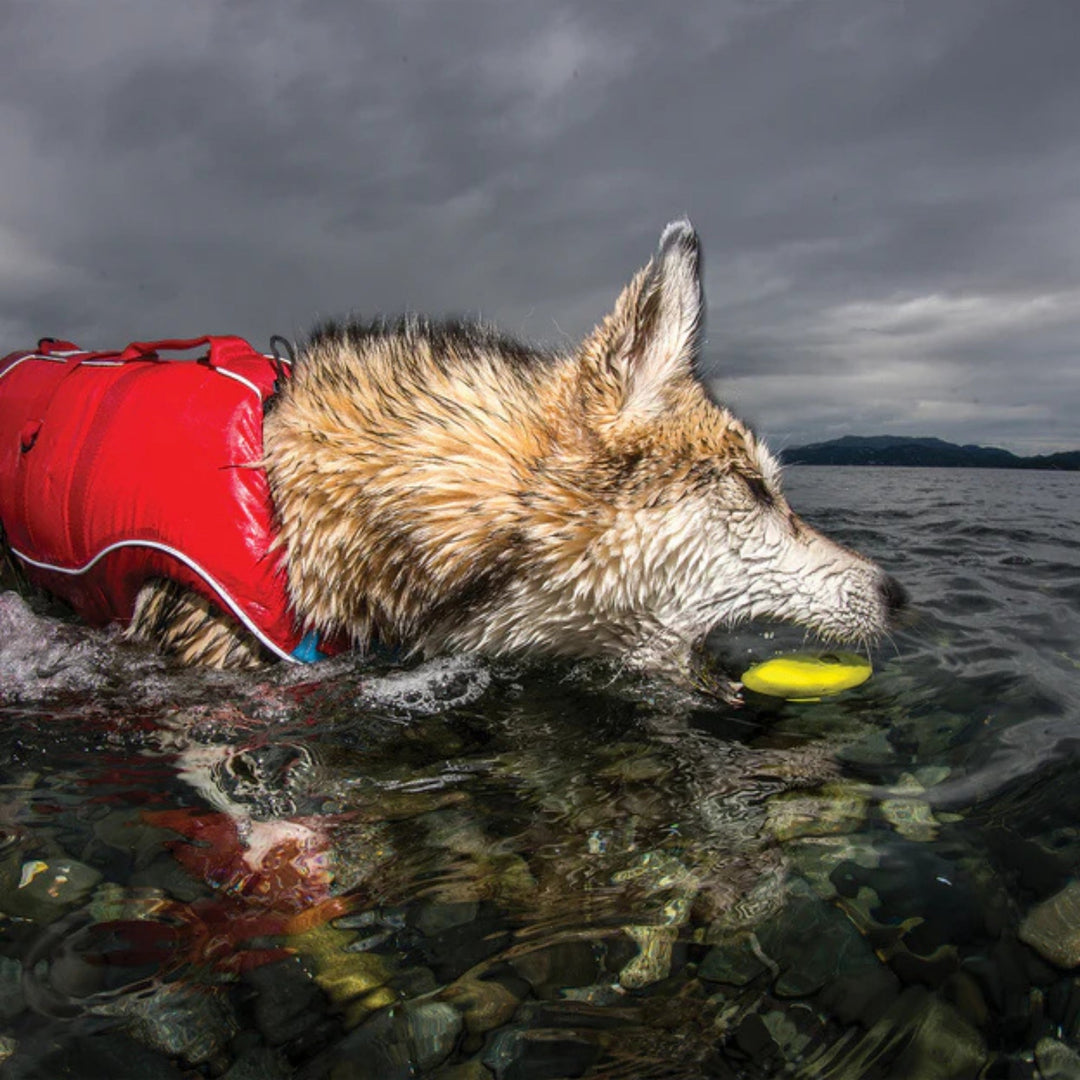 Kurgo Dog Skipping Stones 3 Pack