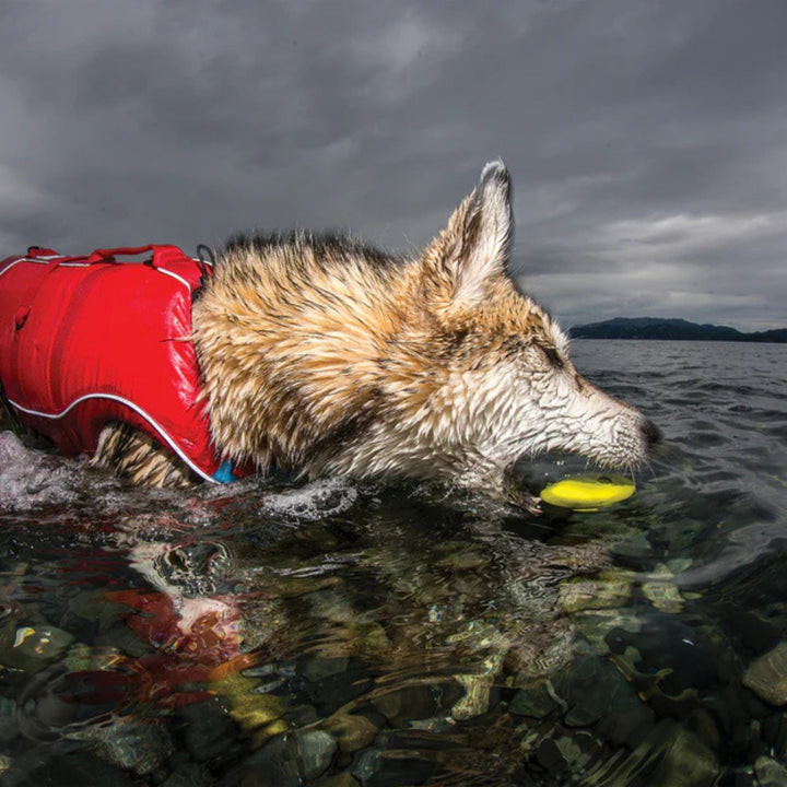 Kurgo Dog Skipping Stones 3 Pack