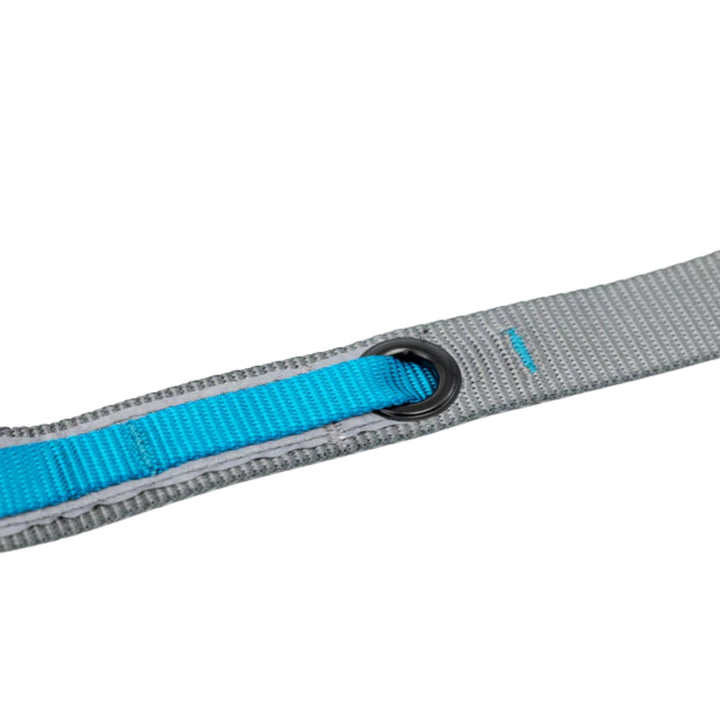 Kurgo Dog Quantum Leash Blue