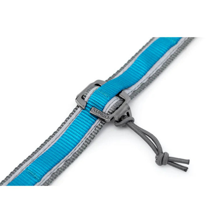 Kurgo Dog Quantum Leash Blue