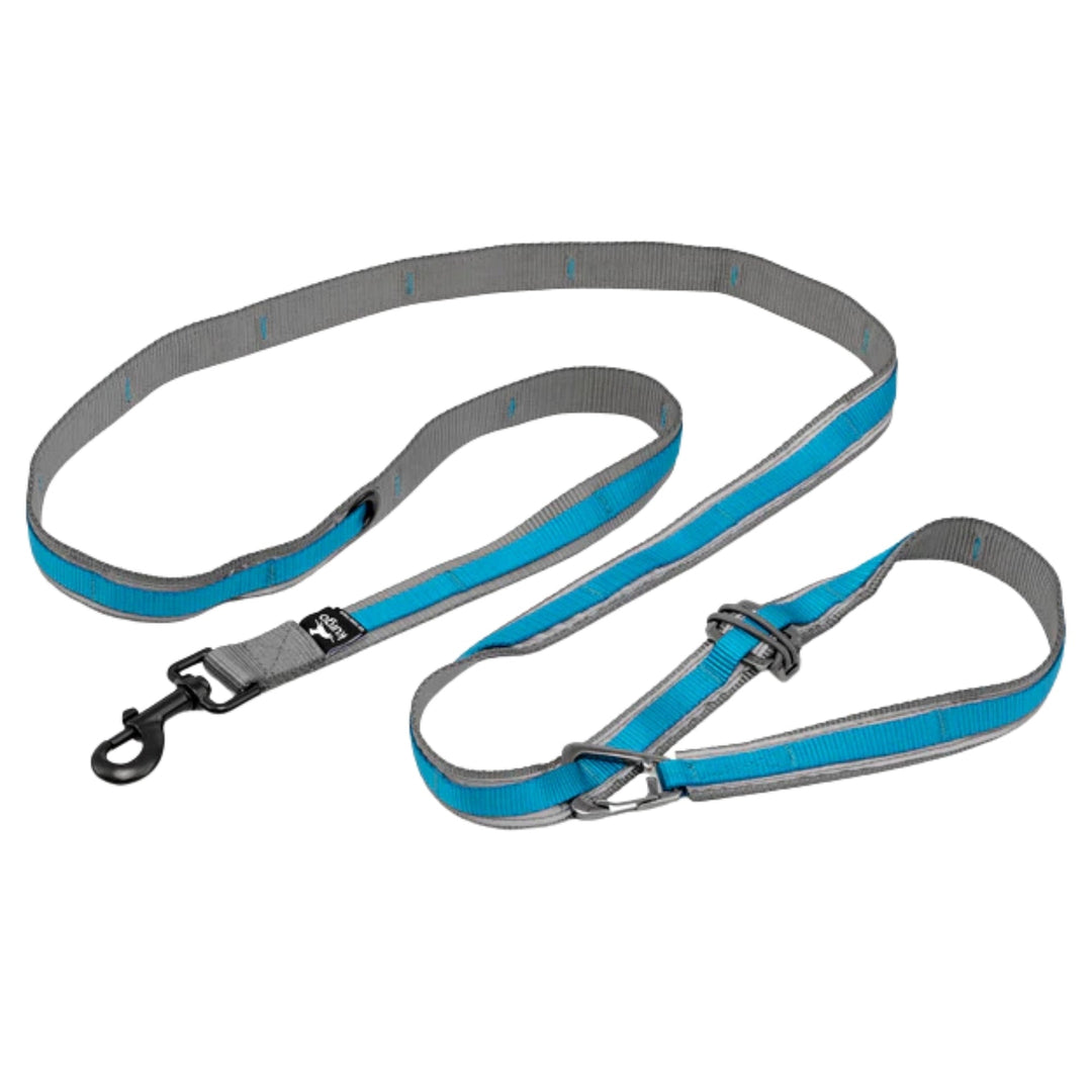 Kurgo Dog Quantum Leash Blue