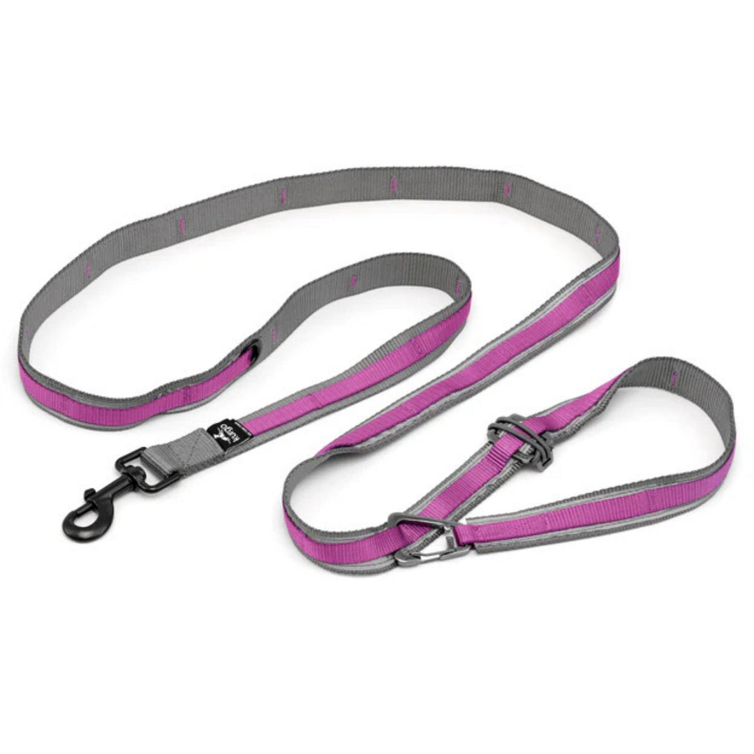 Kurgo Dog Quantum Leash Violet