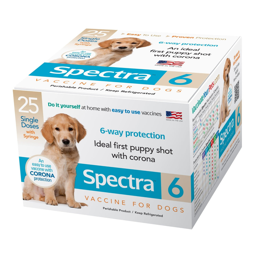 Canine Spectra 6 Dog Vaccine with Syringe 1 Dose
