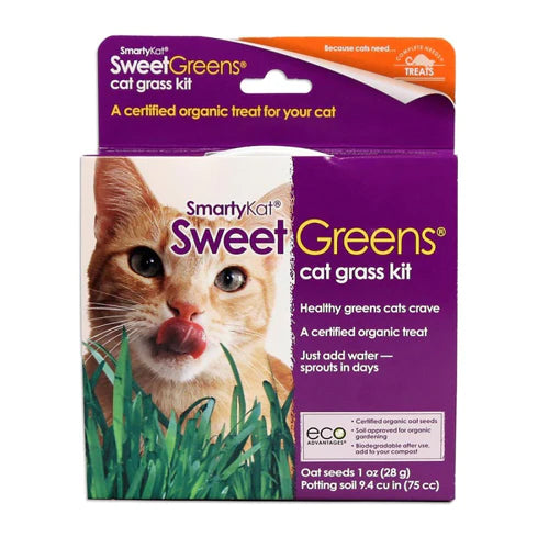 SmartyKat Sweet Greens Cat Grass Kit 1ea/1 oz