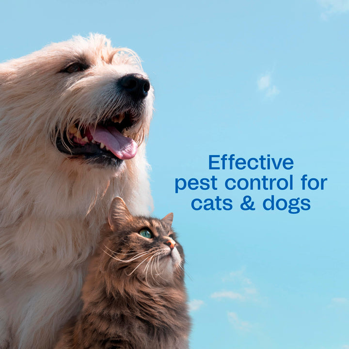ADAMS Plus Flea &amp; Tick Dog &amp; Cat Spray,Kill &amp; Prevent Flea Infestation,32oz