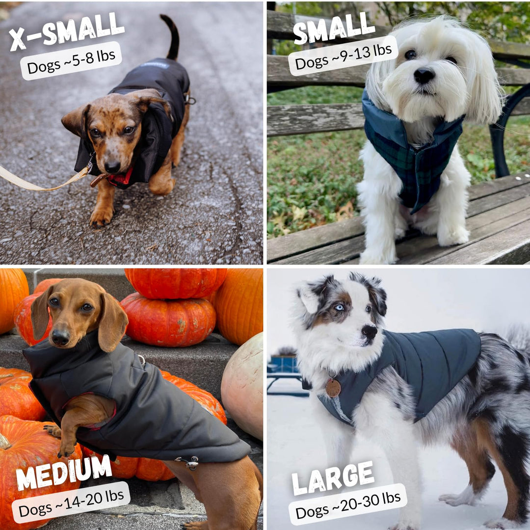 DJANGO Reversible Puffer Dog Coat &amp; Warm Winter Jacket - Blue, Medium