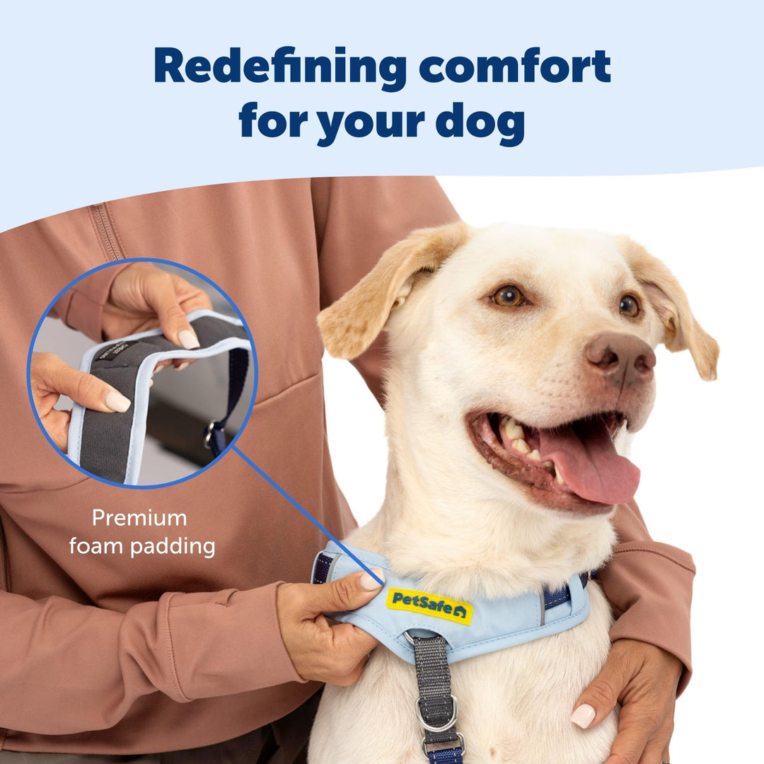 PetSafe Easy Walk Comfort No Pull Dog Harness, Blue, Medium