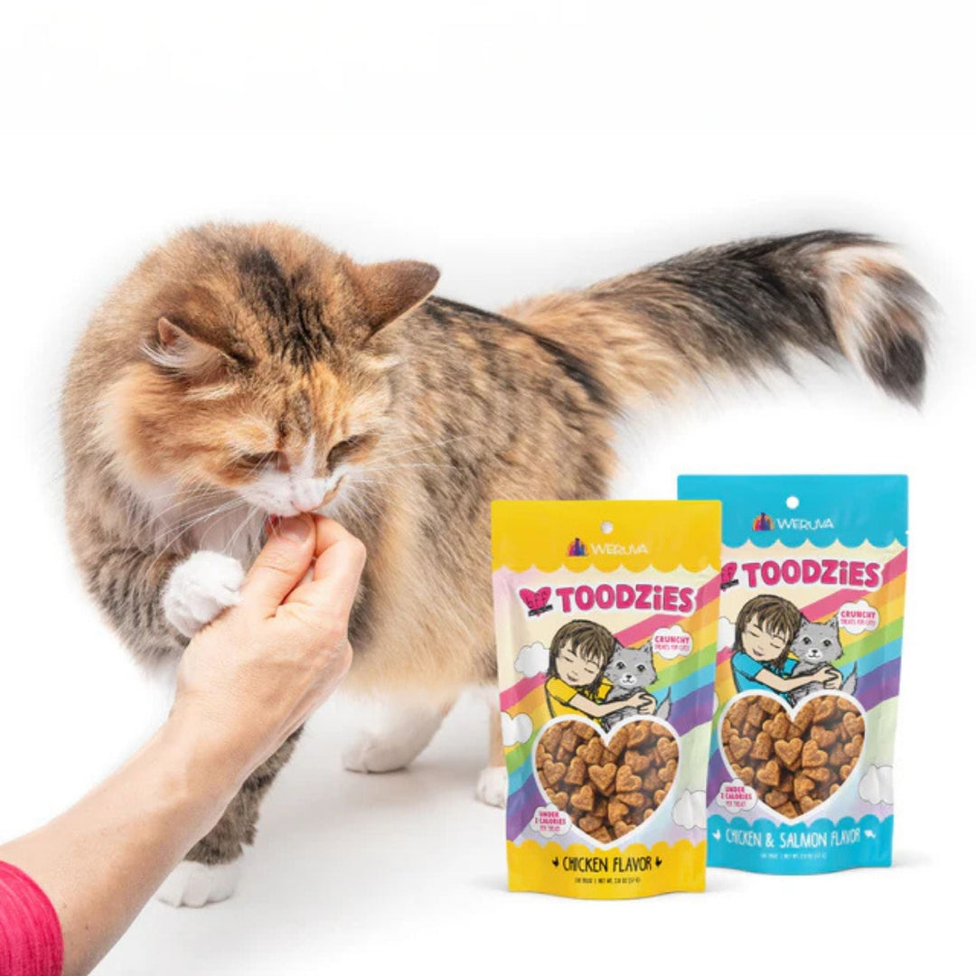BFF Cat Toodzies Crunchy Chicken & Salmon Treats 2oz.