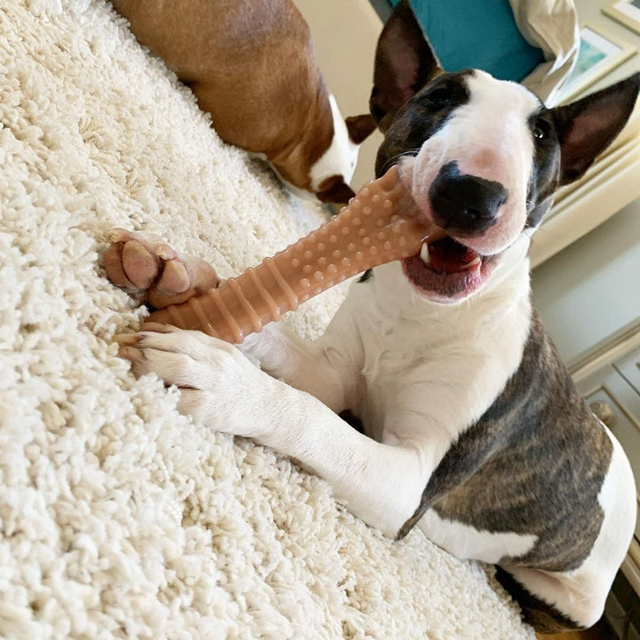 Nylabone Textured Knuckle Bone Power Chew Toys for Dogs, Durable &amp; Tough Dog Toys for Aggressive Chewers, Bacon Flavor, X-Large/Giant - 50+ lbs, 1 Count
