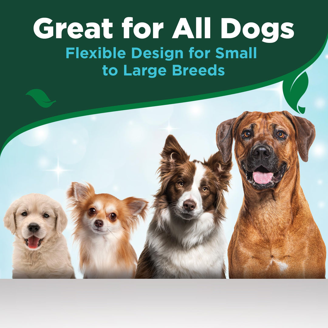 Vet&