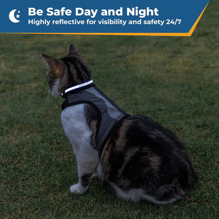 GoTags Personalized Reflective Cat Collars, Engraved Custom Cat Collar