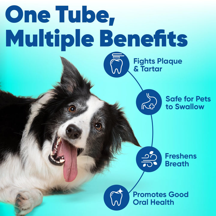 C.E.T. Enzymatic Toothpaste for Dogs and Cats, Malt, 2.5oz