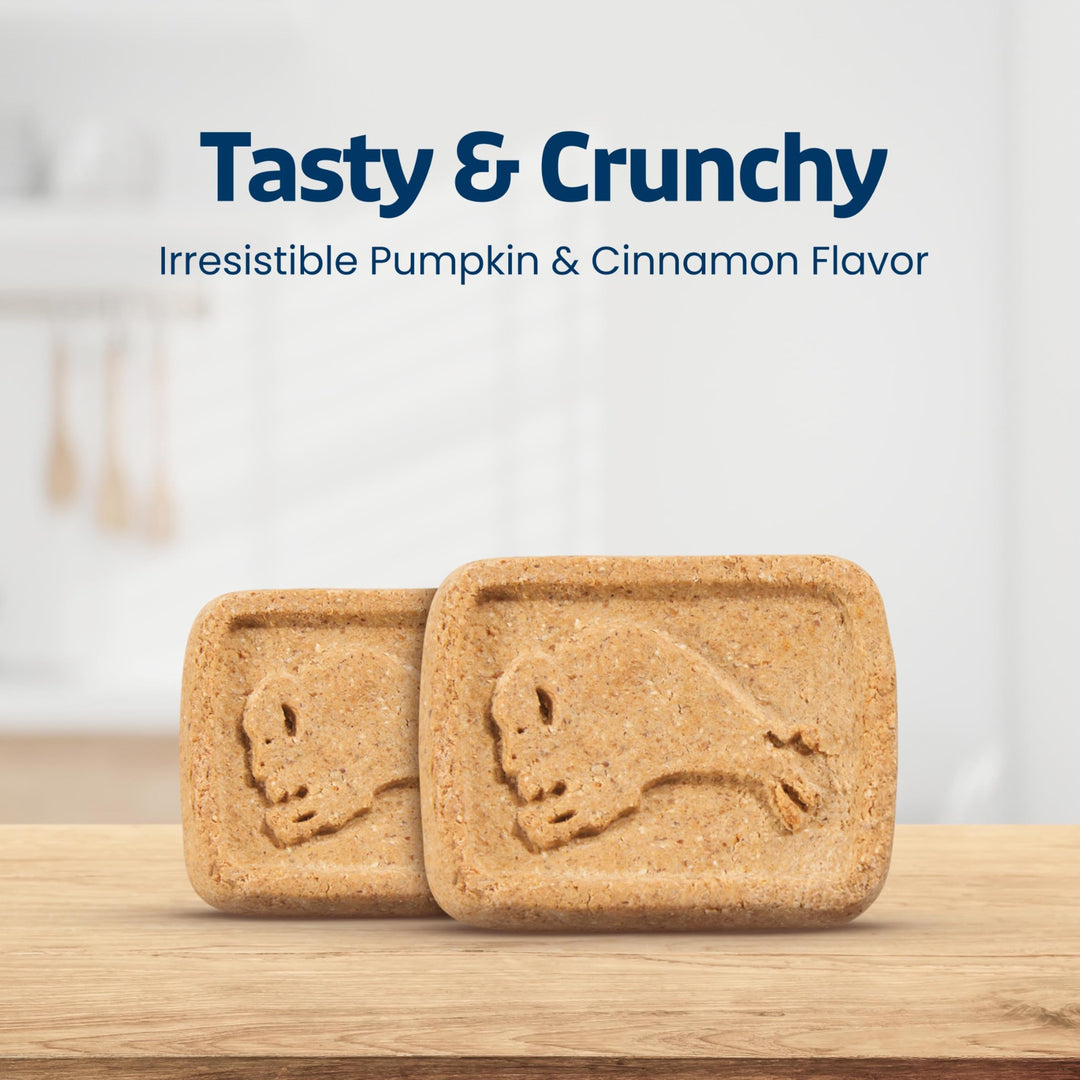 Blue Buffalo Health Bars Pumpkin &amp; Cinnamon Dog Biscuits, 16 oz
