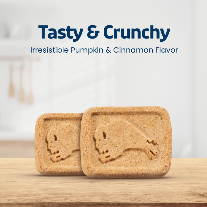 Blue Buffalo Health Bars Pumpkin &amp; Cinnamon Dog Biscuits, 16 oz