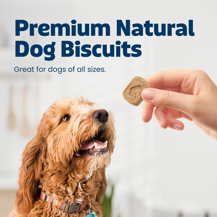 Blue Buffalo Health Bars Pumpkin &amp; Cinnamon Dog Biscuits, 16 oz