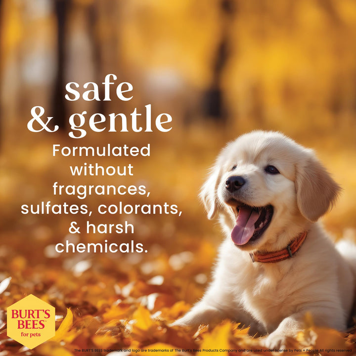 Burts Bees Tearless Puppy Shampoo &amp; Conditioner with Buttermilk, 16 Fl Oz