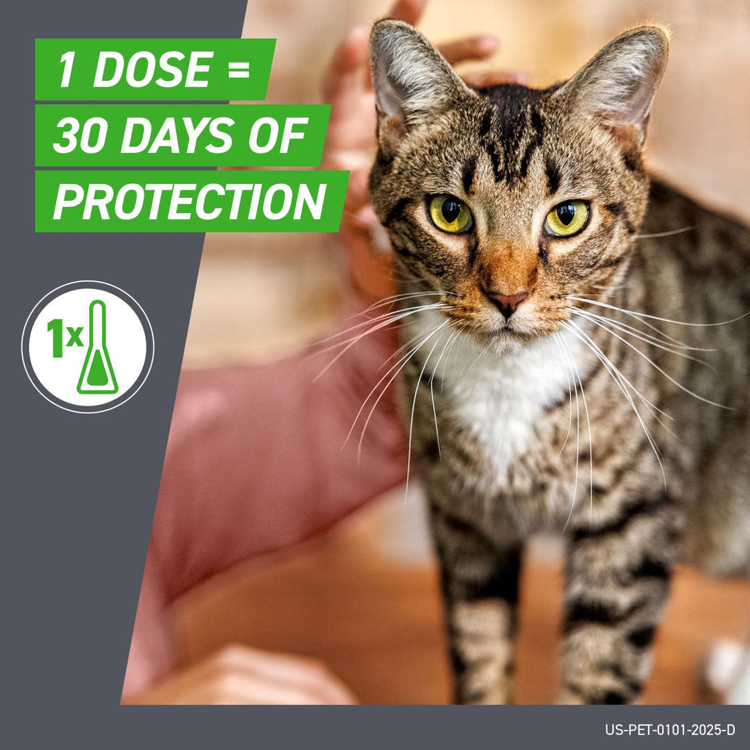 FRONTLINE Plus Flea &amp; Tick Spot Treatment for Cat &amp; Kitten (Green) Count of 6