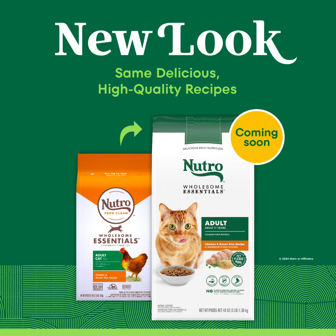 Nutro Wholesome Essentials Adult Dry Cat Food, Chicken &amp; Brown Rice, 3 lb
