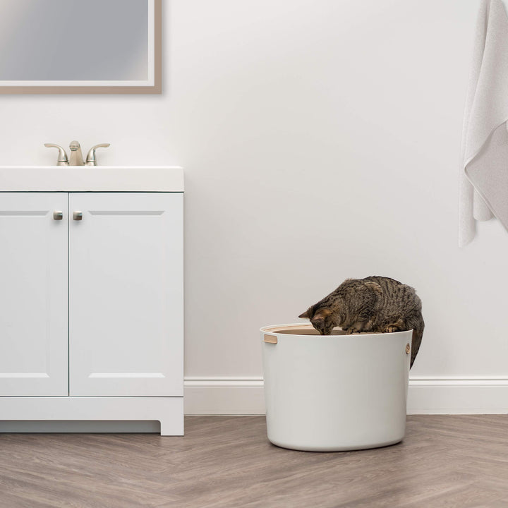 IRIS USA Large Top Entry Cat Litter Box, Hooded Privacy, Beige/White
