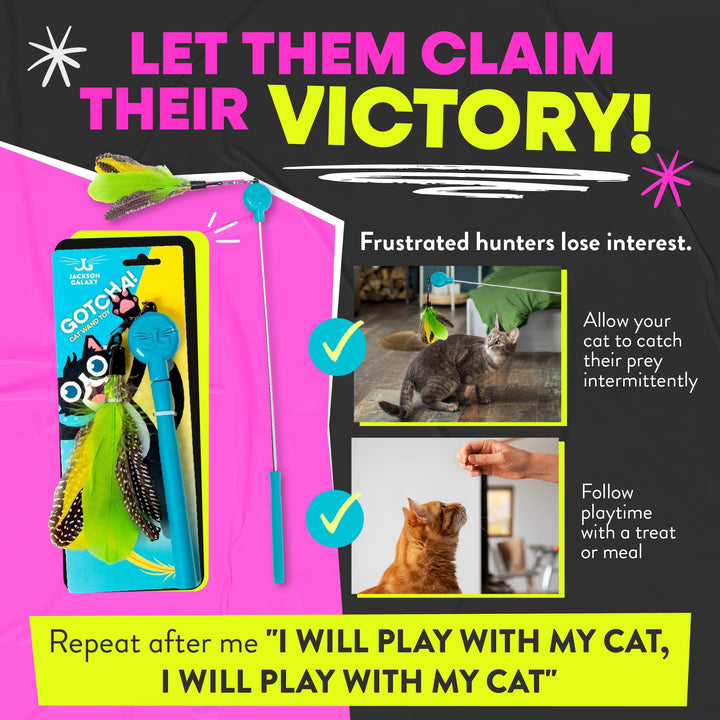 Jackson Galaxy Gotcha! Cat Wand Toy, Interactive Feather Teaser for Cats