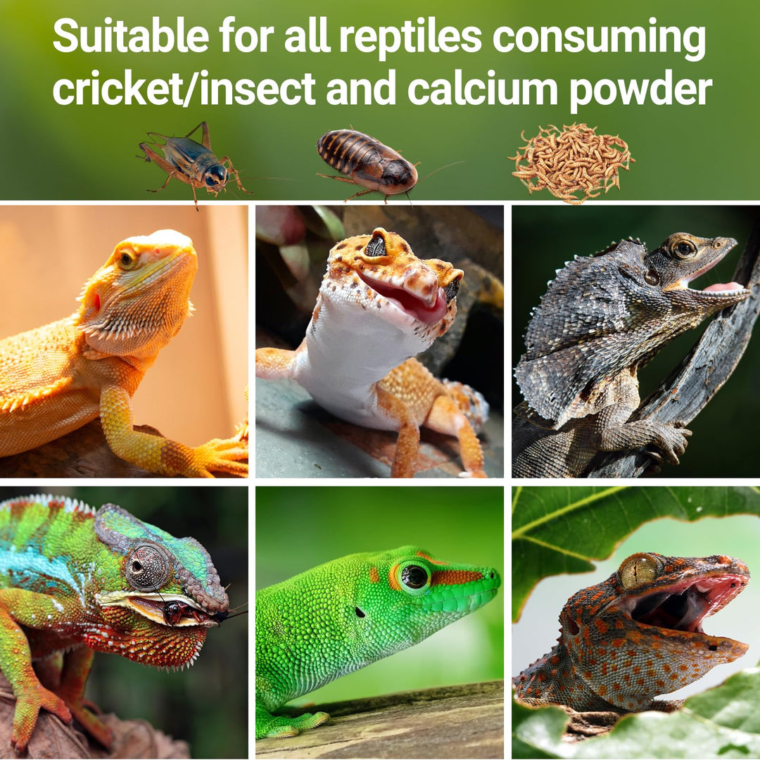 REPTI ZOO Reptile Cricket Calcium Powder Mixer, Cricket Keeper Shaker for Bearded Dragon Gecko Snake Lizards, Dispenser Feeder for Chameleon Reptile &amp; Amphibians