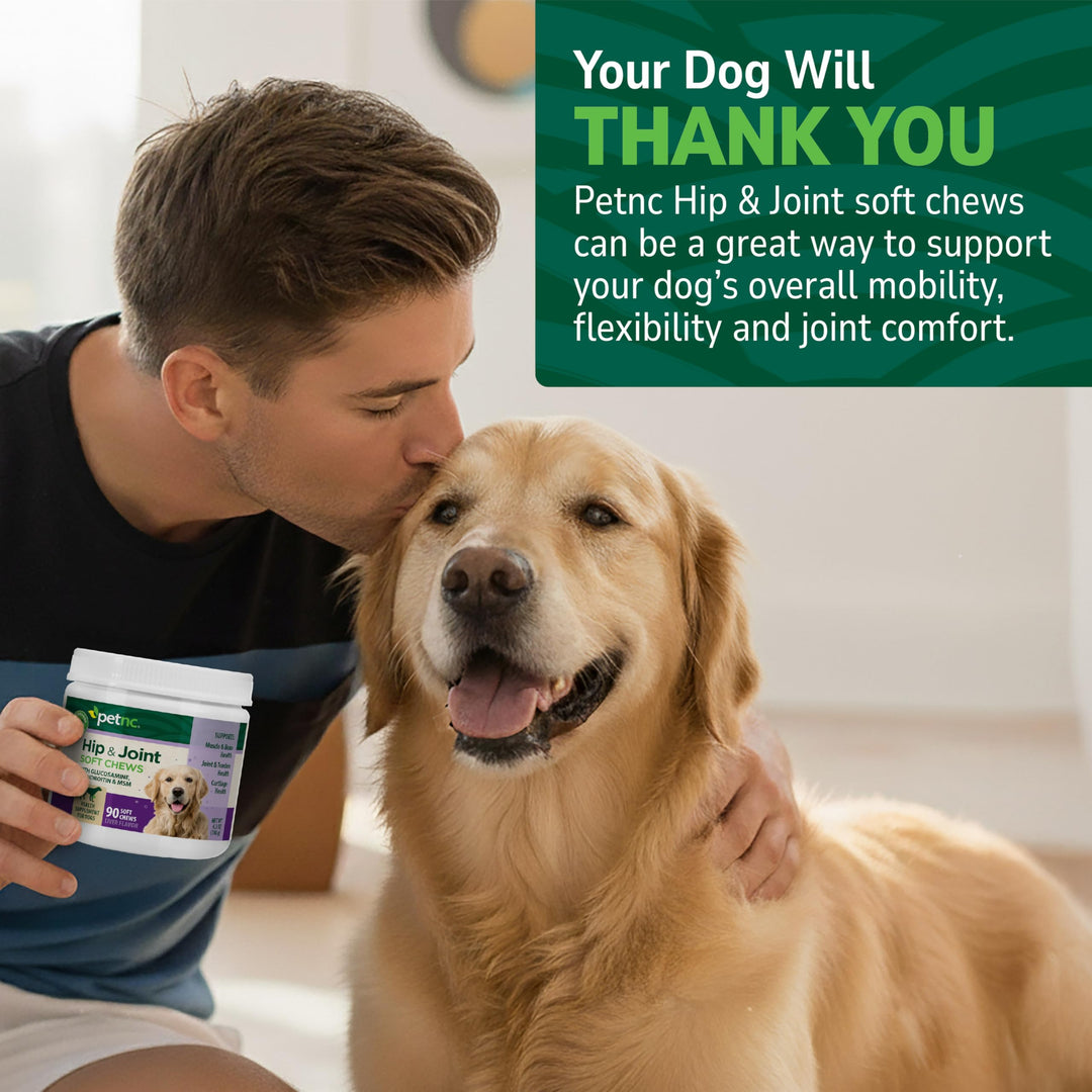 PetNC Natural Care Hip and Joint Soft Chews for Dogs, 90 Count - 27591