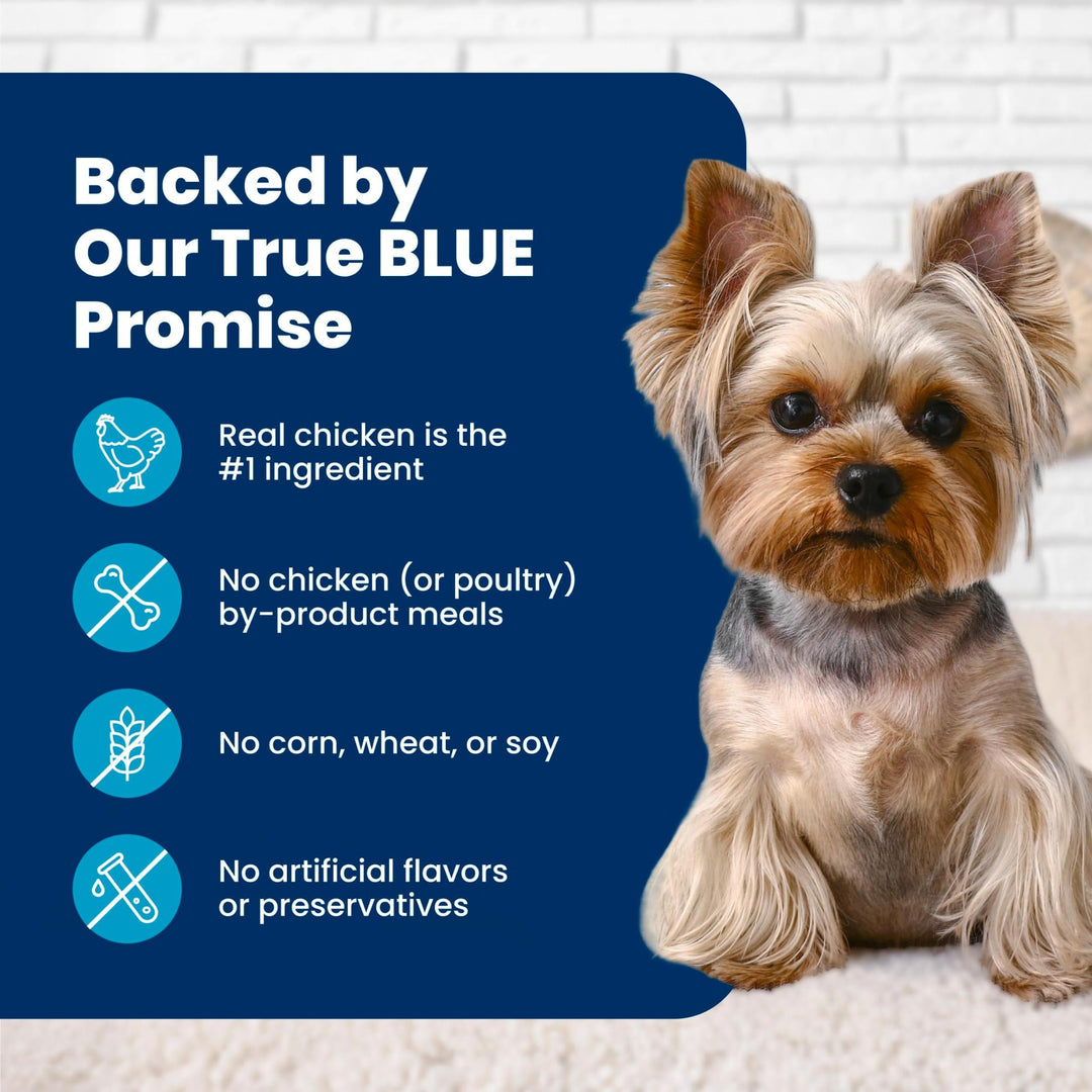 Blue Buffalo Life Protection Formula Small Bite Chicken Dry Dog Food, 30 lb