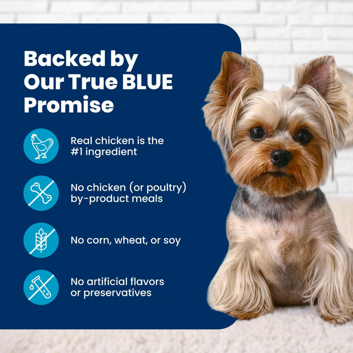 Blue Buffalo Life Protection Formula Small Bite Chicken Dry Dog Food, 30 lb