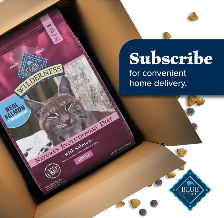 Blue Buffalo Wilderness Salmon Adult Dry Cat Food, Grain-Free, 11 lb