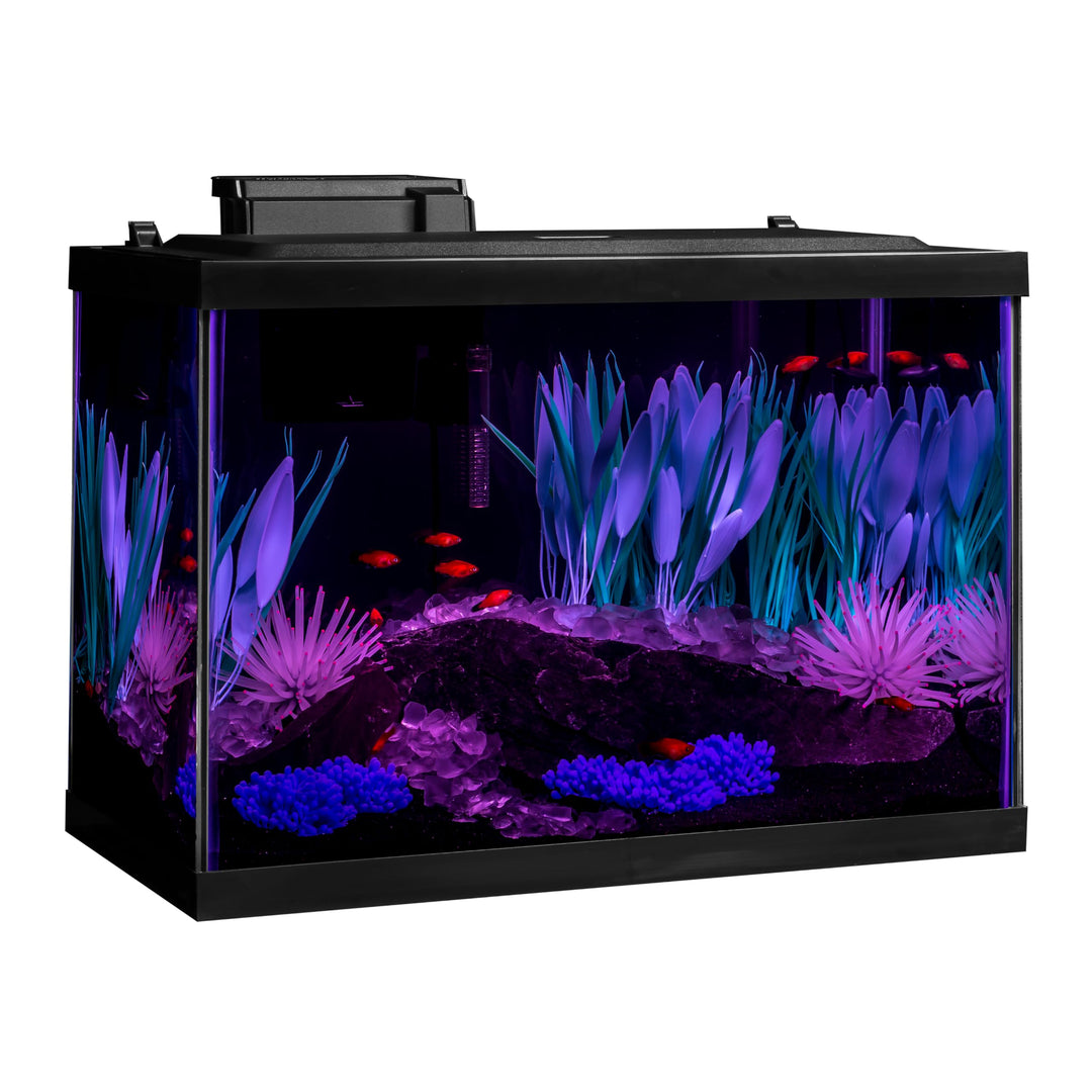Tetra ColorFusion 20 Gallon Complete Aquarium Kit