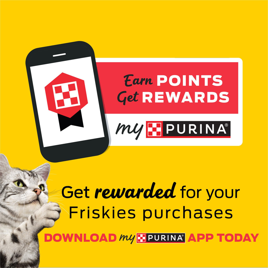 Friskies Purina Party Mix Original Crunch Cat Treats 30 oz Pouch