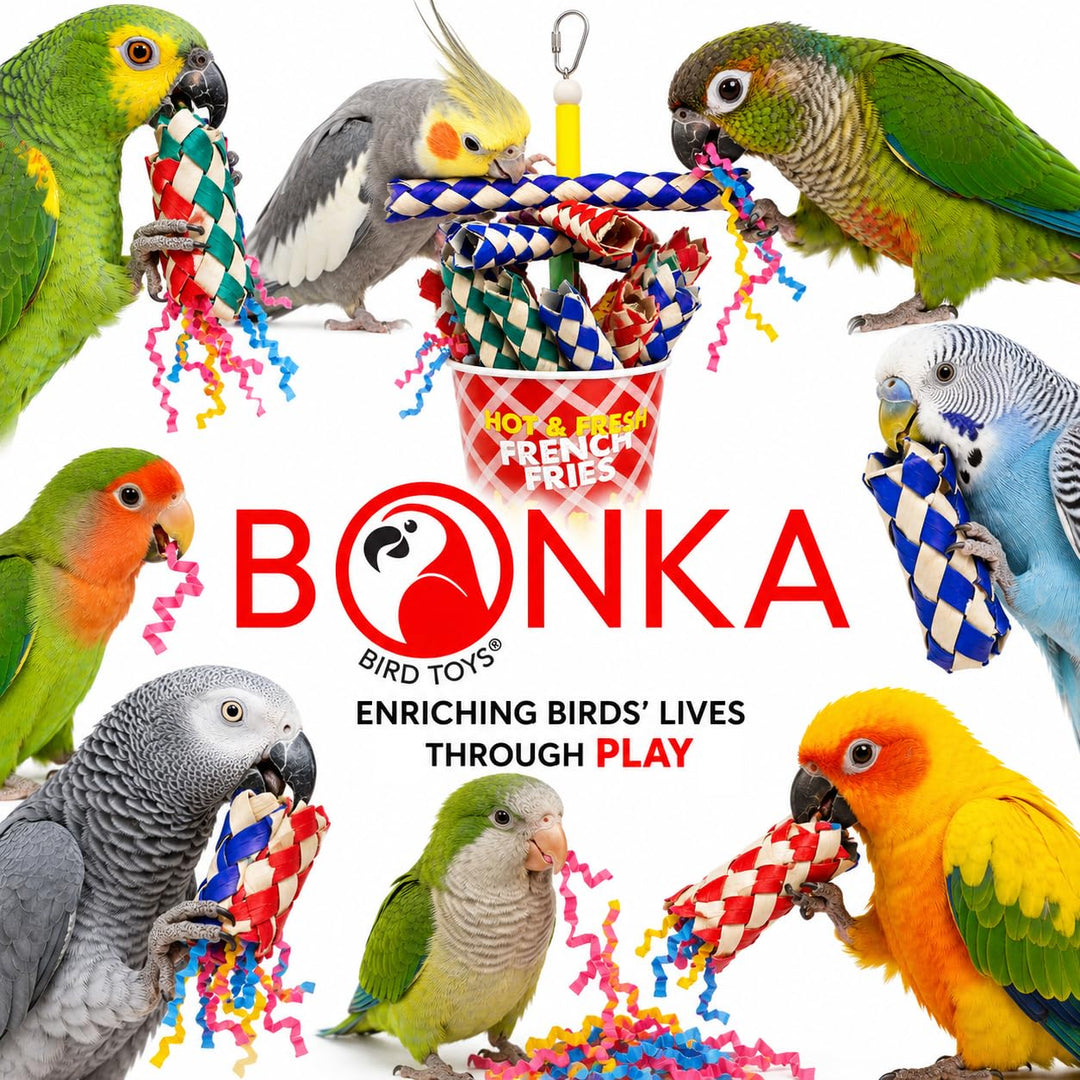 Bonka Bird Toys 2306 French Fries Small Medium Bird Toy Foraging Bamboo Trap Cup Paper Shred Cockatiels Parakeets Conures and Other Similar Sized Birds