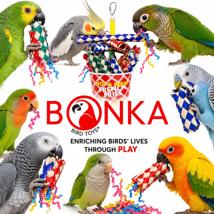 Bonka Bird Toys 2306 French Fries Small Medium Bird Toy Foraging Bamboo Trap Cup Paper Shred Cockatiels Parakeets Conures and Other Similar Sized Birds