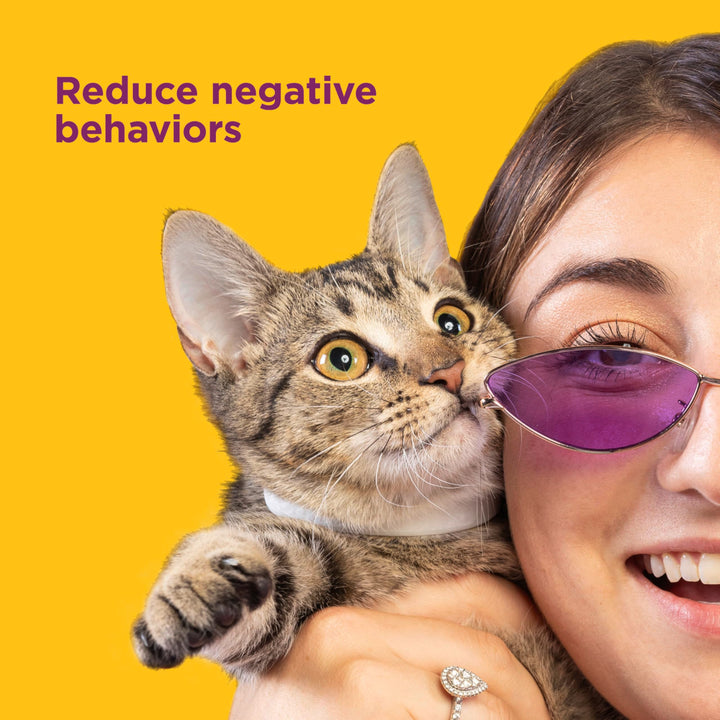 Comfort Zone Cat Calming Collar Starter Pack: 1 30-Day Calming Collar