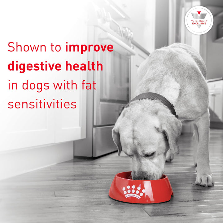 ROYAL CANIN Veterinary Diet Canine Gastrointestinal Low Fat Adult Dry Dog Food, 28.6 lb Bag