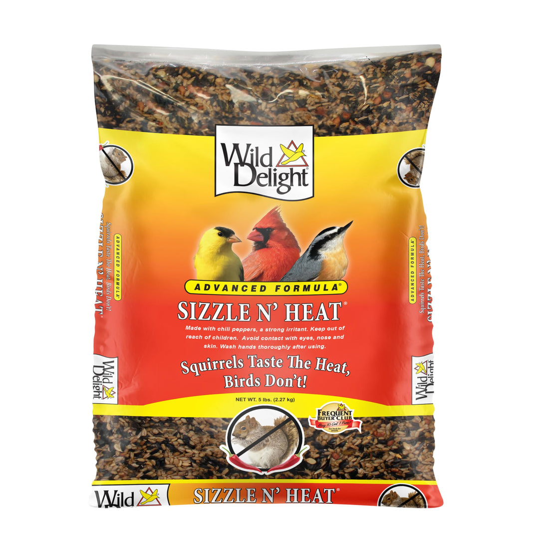 Wild Delight Sizzle N&