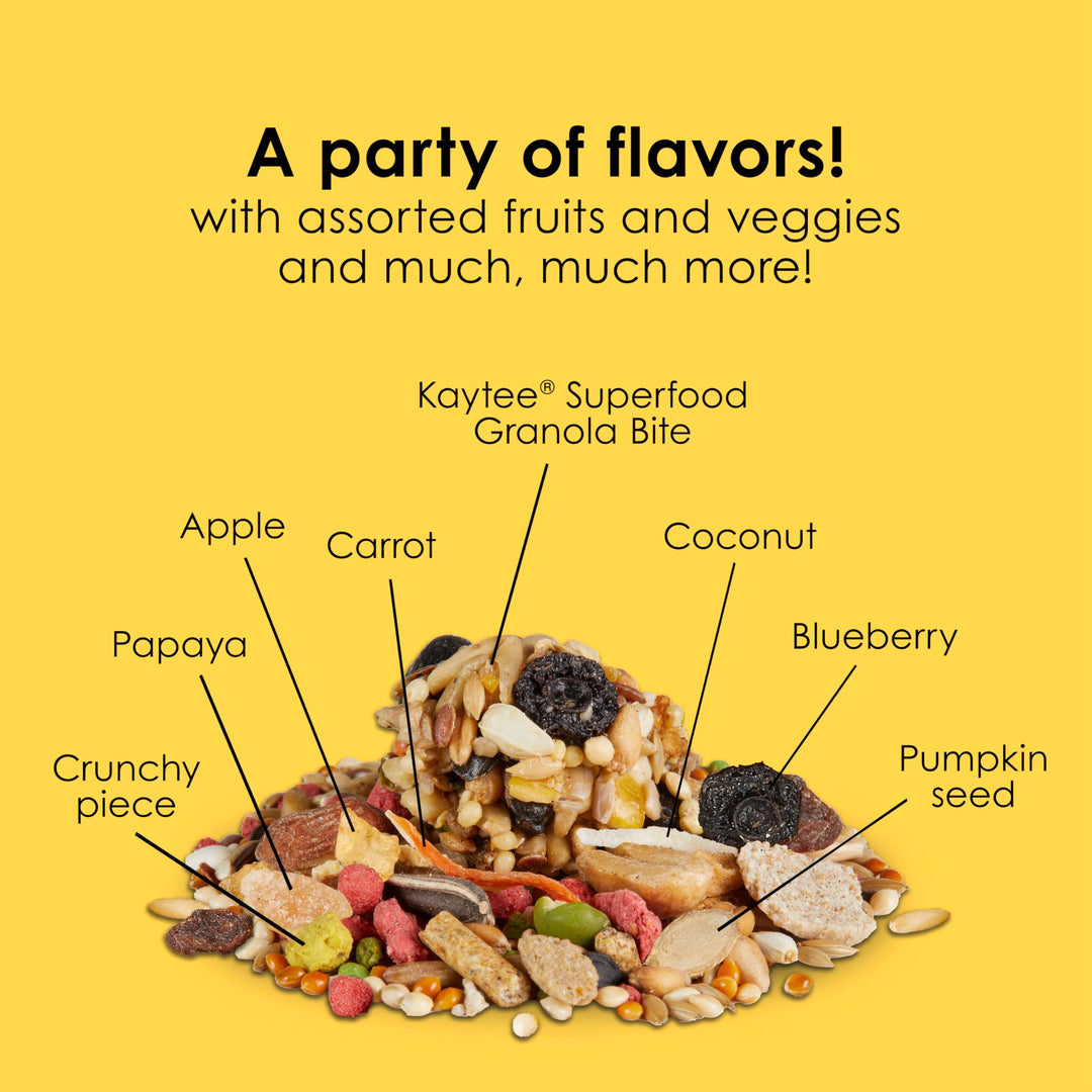 Kaytee Fiesta Cockatiel Bird Food, Nutritious Fun Blend, 4.5 Pounds