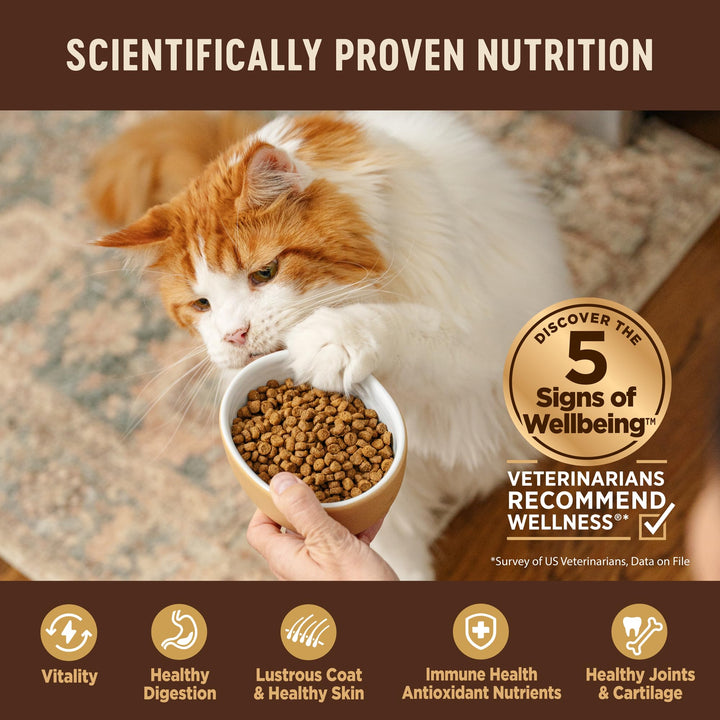 Wellness CORE Kitten Dry Cat Food, Natural, Grain Free Kibble, Turkey Meal and Chicken Recipe, 5 lb Bag
