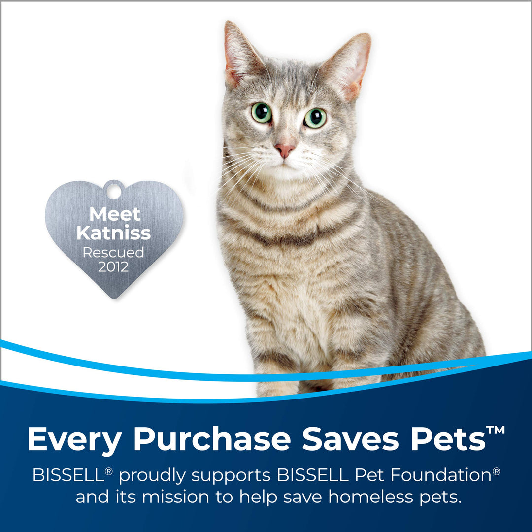 Bissell Woolite Advanced Pet Stain &amp; Odor Remover + Sanitize, 11521 (22fl oz)