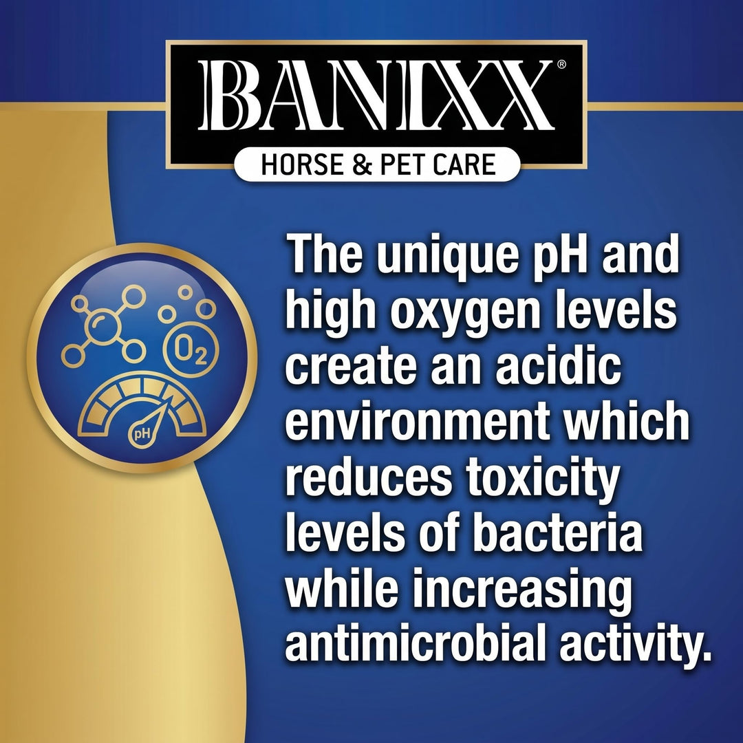 BANIXX Horse and Pet Care Spray for Horses, Dogs and Cats, Daily Skin and Coat Care Spray, Alcohol-Free, Non-Staining, No Odor, Made in USA, Grooming and Hoof Care Formula, 8 oz