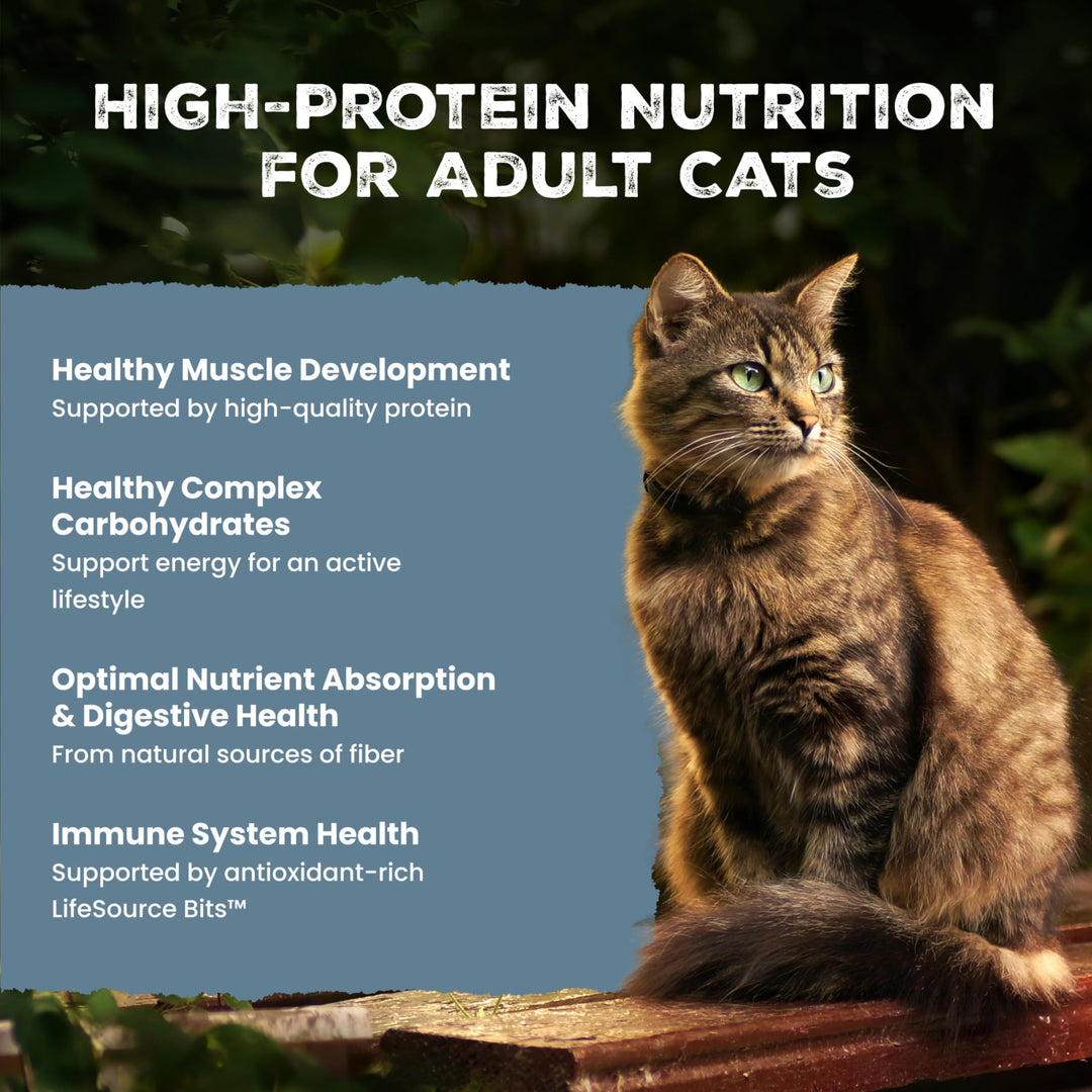 Blue Buffalo Wilderness Salmon Adult Dry Cat Food, Grain-Free, 11 lb