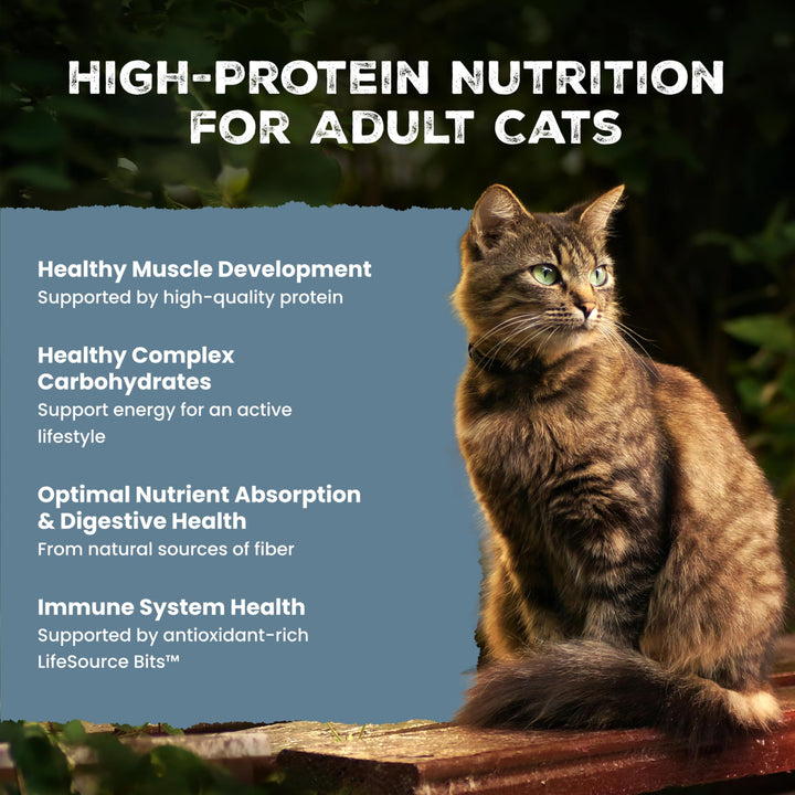 Blue Buffalo Wilderness Salmon Adult Dry Cat Food, Grain-Free, 11 lb