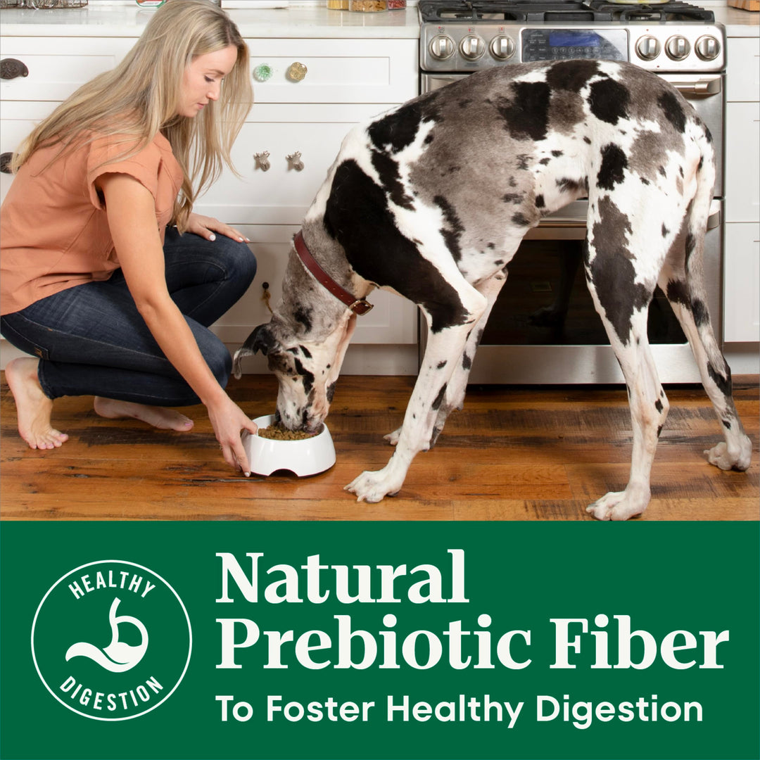 Nutro Natural Choice Large Breed Adult Dry Dog Food, Chicken &amp; Rice, 30 lb