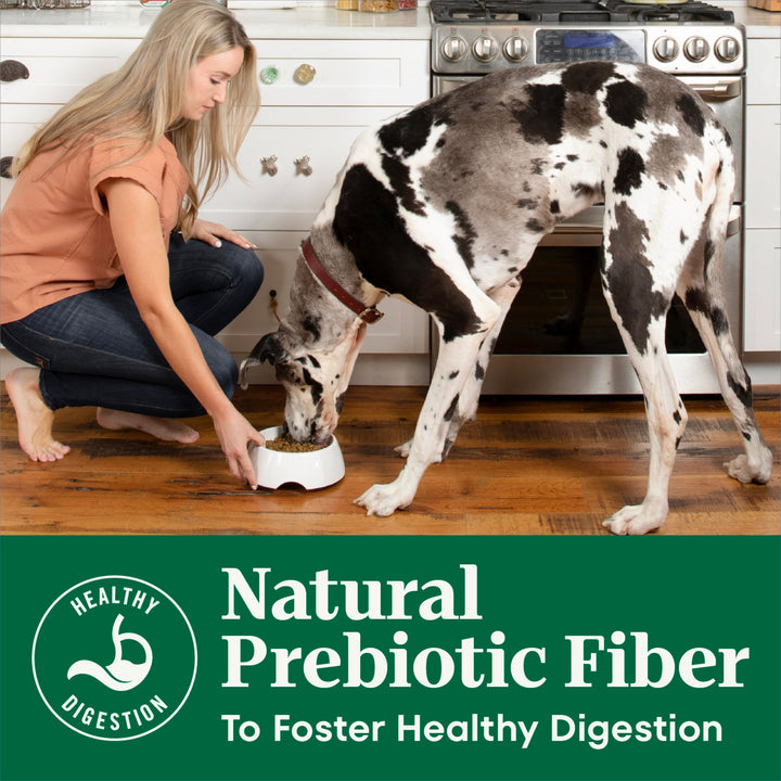 Nutro Natural Choice Large Breed Adult Dry Dog Food, Chicken &amp; Rice, 30 lb