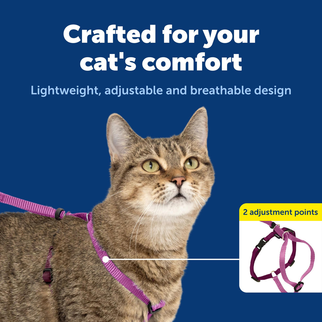 PetSafe Come with Me Kitty Harness and Bungee Cat Leash, Dusty Rose, Medium