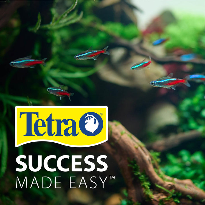 Tetra LED 10 Gallon Complete Fish Tank Kit