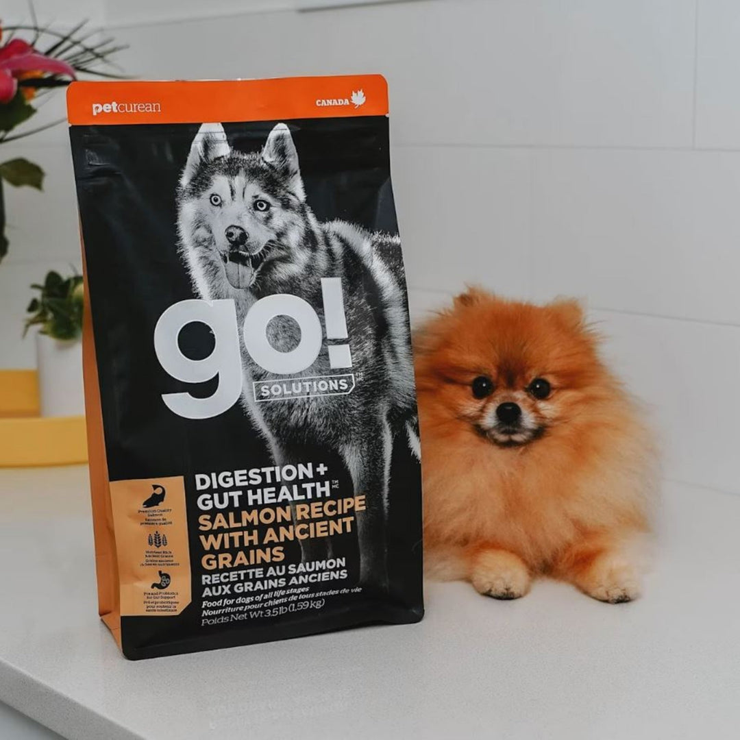 Go! Dog Digestion & Gut Health Salmon Ancient Grain 3.5Lb