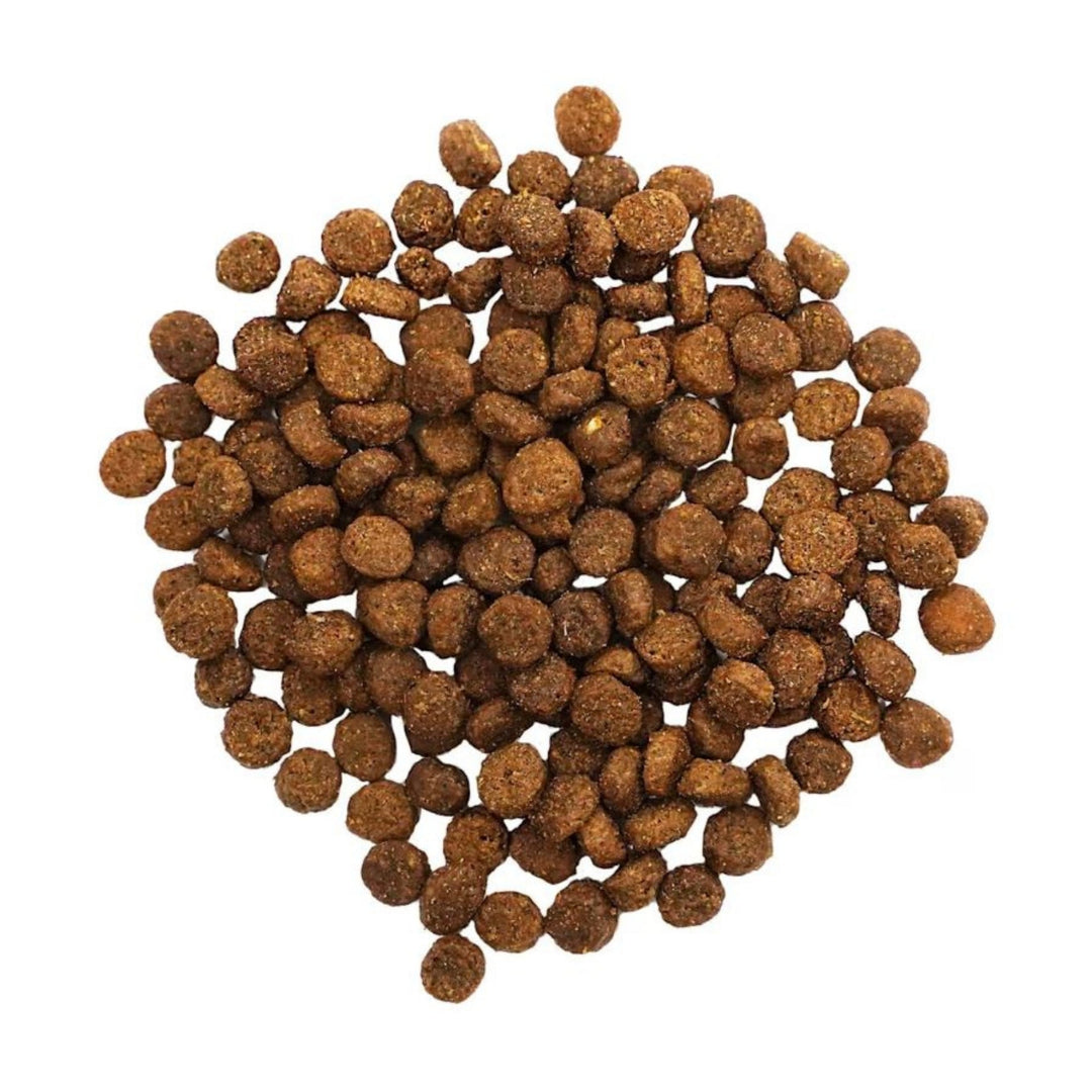 Go! Cat Digestion & Gut Health Salmon Ancient Grain 3Lb